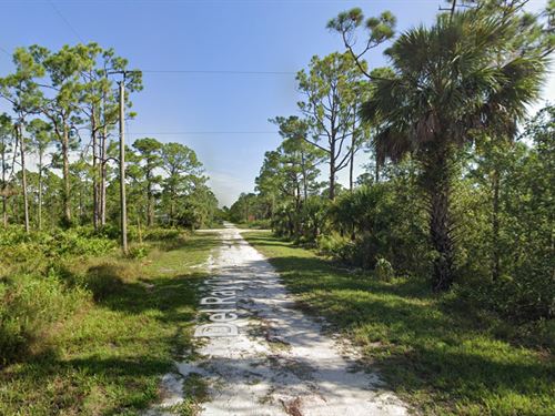 A Promising Asset, Only $295/Mo : Punta Gorda : Charlotte County : Florida