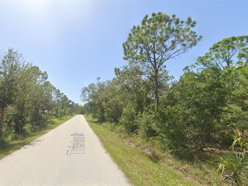 Own Land Near The Coast : Punta Gorda : Charlotte County : Florida
