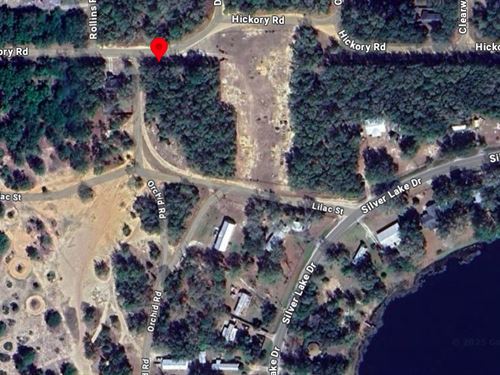 Wooded Lake Life with Power : Interlachen : Putnam County : Florida