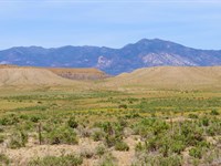Start Your Dream on 0.53 Acre : Deming : Luna County : New Mexico