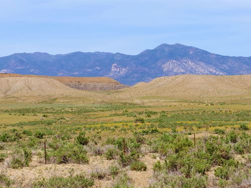 Start Your Dream on 0.53 Acre : Deming : Luna County : New Mexico