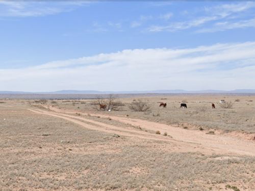 Unleash Your Freedom : Las Nutrias : Socorro County : New Mexico