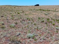 1.01 Acre Lot in Concho, Lakeland : Concho : Apache County : Arizona
