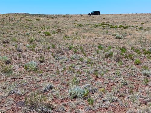 1.01 Acre Lot in Concho, Lakeland : Concho : Apache County : Arizona