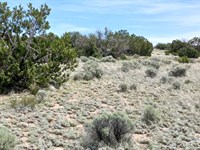 Own 1.24 Acres of Paradise : Sanders : Apache County : Arizona