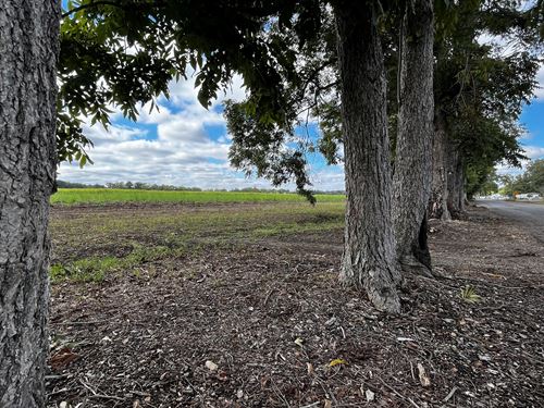 1.16 Acres in St Martin Parish, LA : Breaux Bridge : Saint Martin Parish : Louisiana