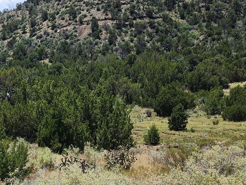 W North Ave, Trinidad, CO 81082 : Trinidad : Las Animas County : Colorado