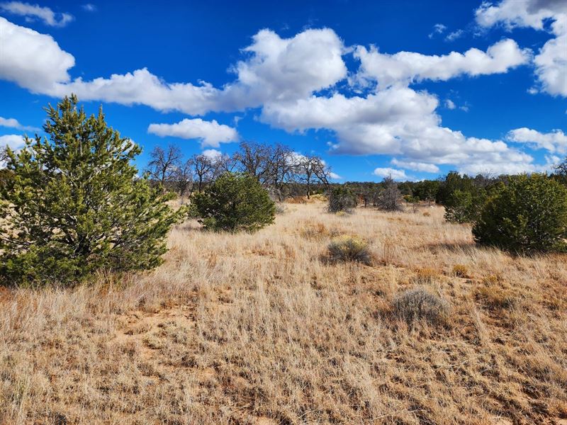 Unlimited Camping Bring RV Off Grid : Pinehill : Cibola County : New Mexico