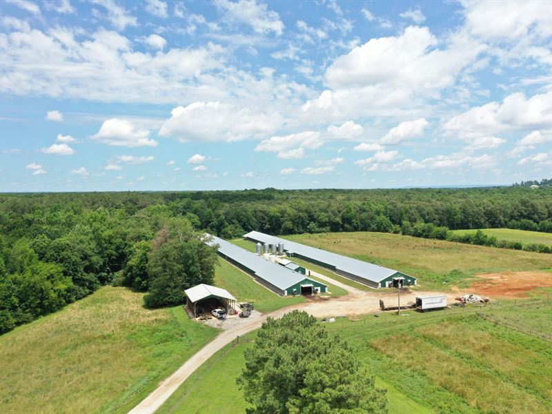 Shadow Lane Broiler Farm : Belvidere : Franklin County : Alabama