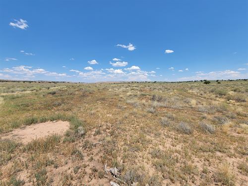 Flat Land for Mobile Homes : Chambers : Apache County : Arizona