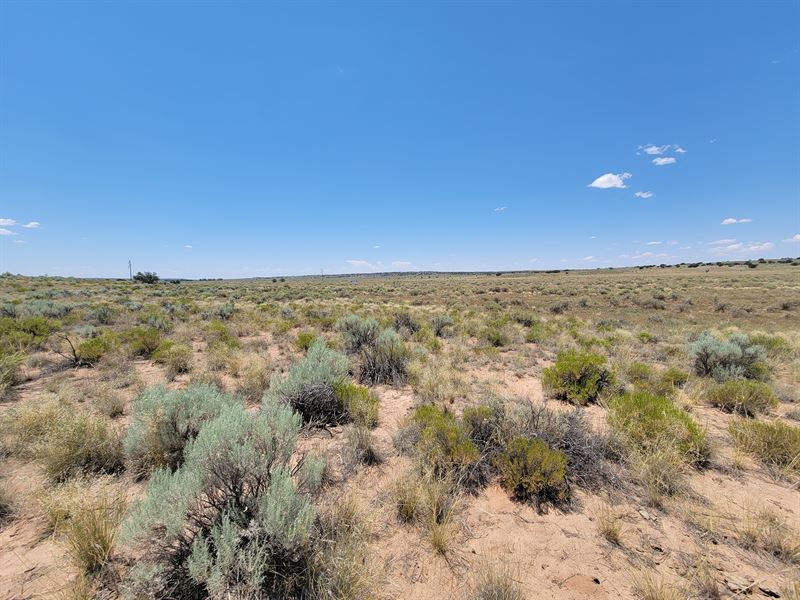 Camping Lot Near Water : Chambers : Apache County : Arizona