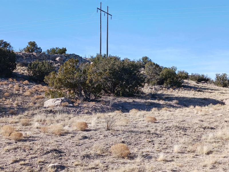Mountain View Adjacent Lot : Sanders : Apache County : Arizona