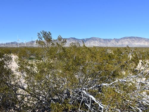 Water Nearby, Build-Ready Lot : Mojave : Kern County : California