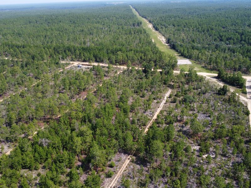Water Nearby, RV Ready Lot : Interlachen : Putnam County : Florida