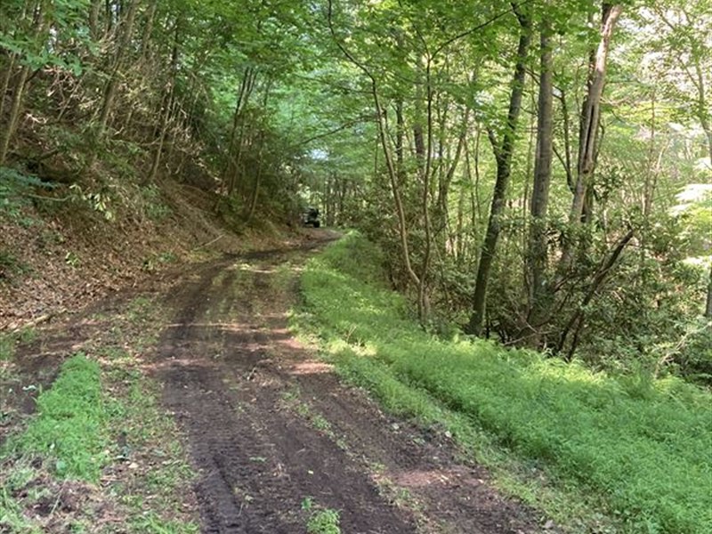 3.5 Ac Next to The River : Laurel Springs : Ashe County : North Carolina