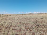 1.09 Acre Concho, AZ for $25 Down : Concho : Apache County : Arizona