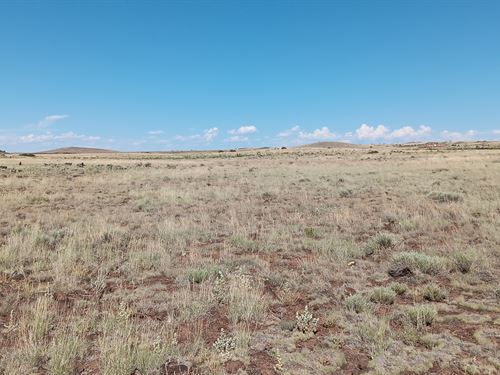 1.09 Acre Concho, AZ for $25 Down : Concho : Apache County : Arizona