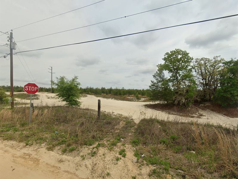 Charming Land in a Quaint Community : Satsuma : Putnam County : Florida
