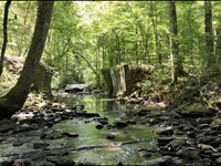 3 Acres Auburn City Limits, Swingl : Auburn : Lee County : Alabama