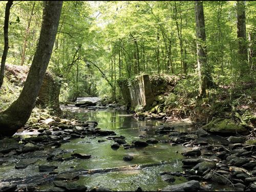 3 Acres Auburn City Limits, Swingl : Auburn : Lee County : Alabama