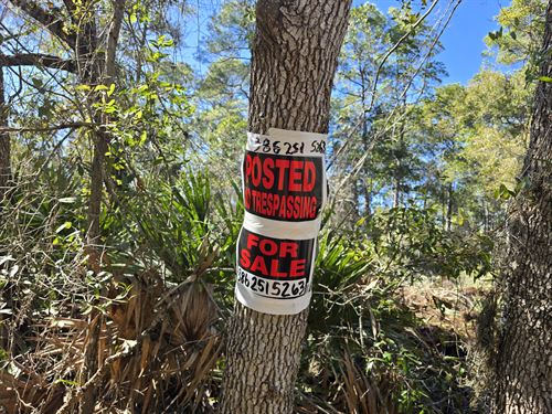 821 Theresa Ave on a Paved Road : Interlachen : Putnam County : Florida