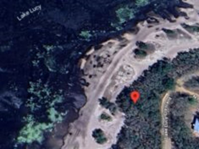 1/4+ Acre on Lake Lucy Crescent : Interlachen : Putnam County : Florida