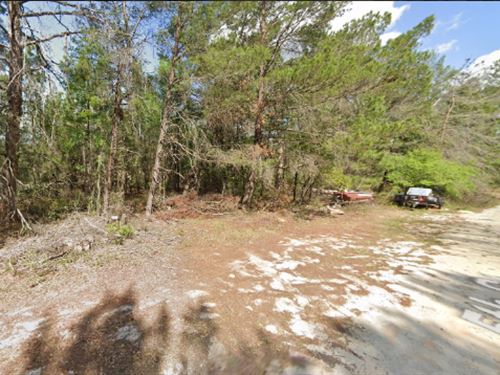 Lot ON 146 Se 5th Street : Interlachen : Putnam County : Florida