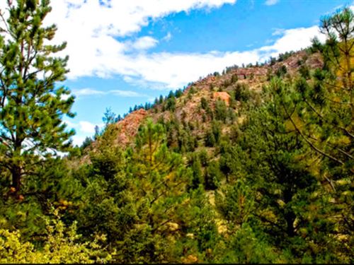 Land for Camping, Hunting, Atv : Cripple Creek : Teller County : Colorado