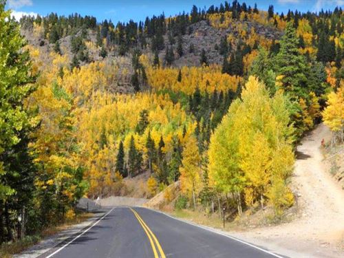 3.448 Acres Stunning Mountain Land : Idaho Springs : Clear Creek County : Colorado