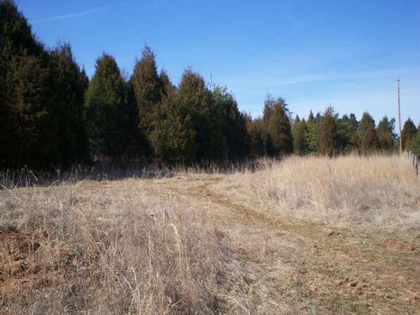 Small Tract with Utilities : Bonnieville : Hart County : Kentucky