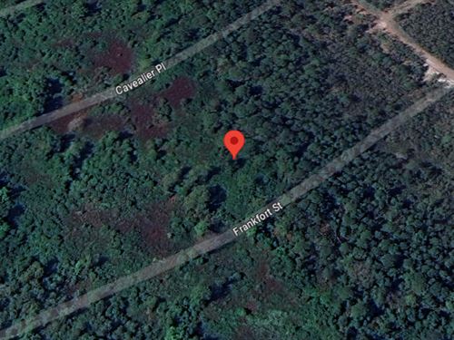 Frankfort St on a Dirt Road : Interlachen : Putnam County : Florida