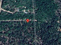Carrie Way Lot on a Dirt Road : Interlachen : Putnam County : Florida