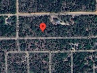 .45 Acre Lot Near Erie Avenue : Interlachen : Putnam County : Florida