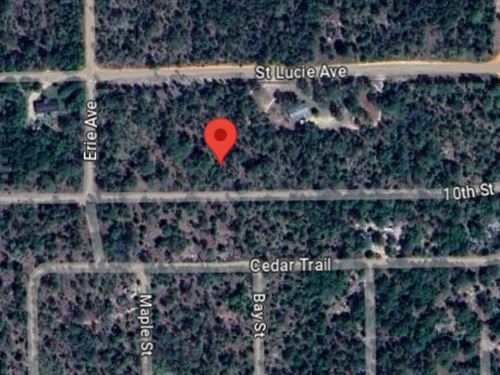 .45 Acre Lot Near Erie Avenue : Interlachen : Putnam County : Florida