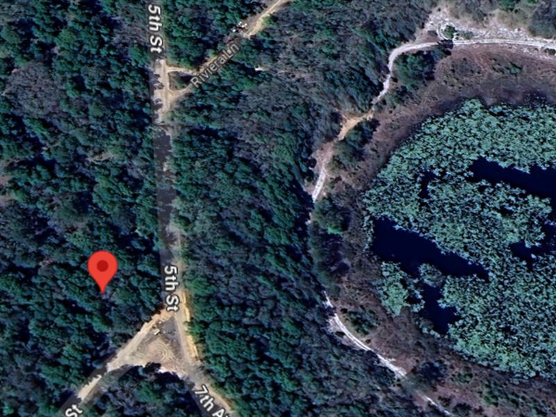 Your Land On Se 5th Street : Interlachen : Putnam County : Florida