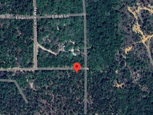 Carrie Way Lot On A Dirt Road : Interlachen : Putnam County : Florida