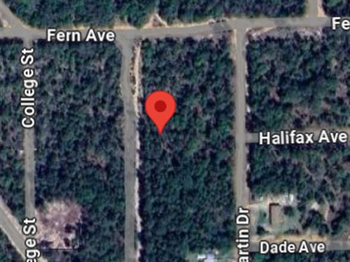 Lot on 462 Citrus St Near Fern Ave : Interlachen : Putnam County : Florida