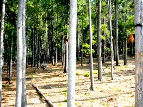 Wooded Lot Surrounded by Mountains : Idaho Springs : Clear Creek County : Colorado