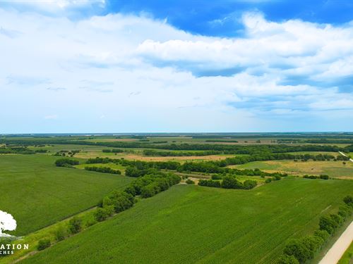 Hillsboro Tract 1, Only $15K Down : Hillsboro : Hill County : Texas
