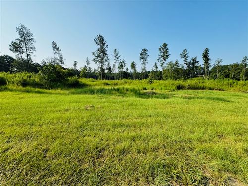 11 Acres Located in Warnerton, LA : Franklinton : Washington Parish : Louisiana