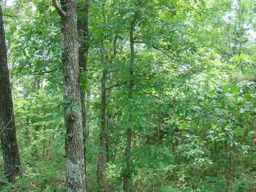 Surveyed 11.98 Acres, Electric Avai : Mountain View : Howell County : Missouri