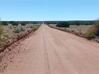 Check Out 1.06 Acres Near Sanders : Saint Johns : Apache County : Arizona