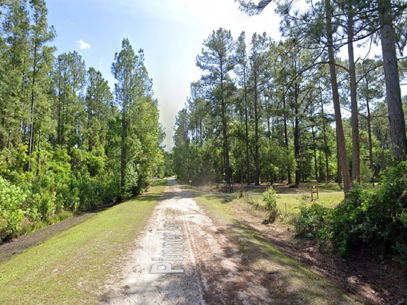 Start Fresh in Palatka, $425/Mo : Palatka : Putnam County : Florida