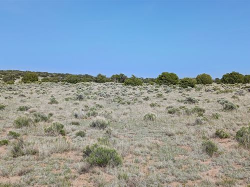 Sale $17.76 Down 1.24 Acres in AZ : Sanders : Apache County : Arizona