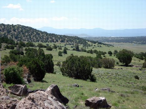 8 Acres with Cabin : Show Low : Apache County : Arizona