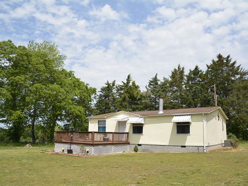 Horse Farm, Prince Edward Co. VA : Rice : Prince Edward County : Virginia