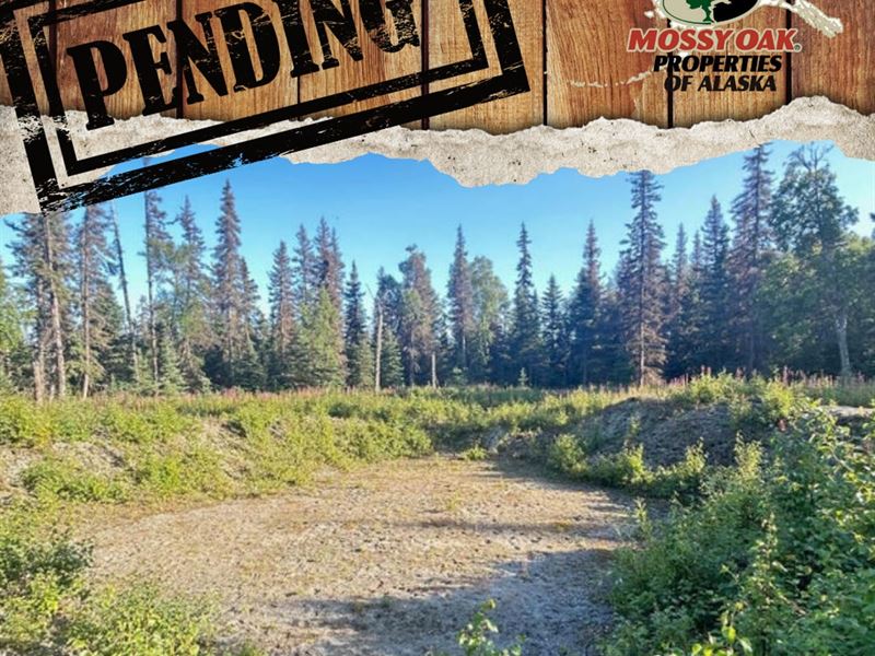 1.9 Acres in North Kenai Ready to : Nikiski : Kenai Peninsula Borough : Alaska