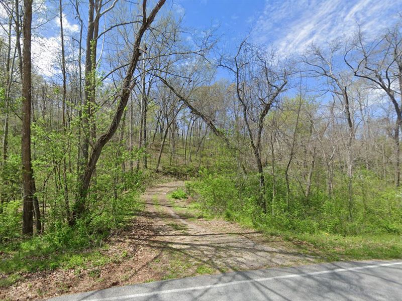 Peaceful Land on The Hill : Bella Vista : Benton County : Arkansas
