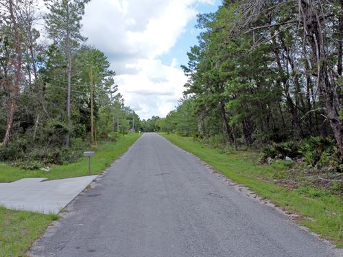 Corner Lot in Ocklawaha, FL : Ocklawaha : Marion County : Florida