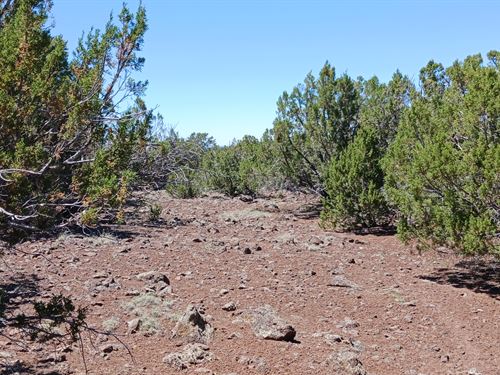 Discover Your 1.16 Acre RV Campsite : Concho : Apache County : Arizona